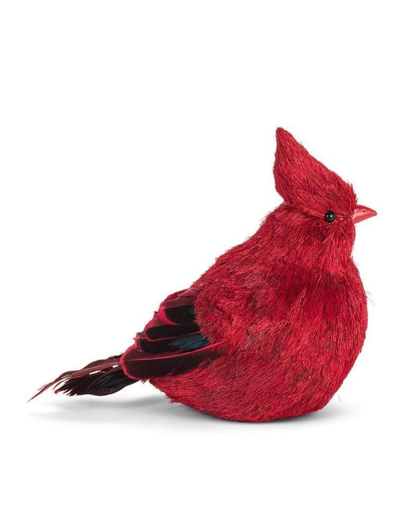 Abbott Collection Natural Fibre & Feather Cardinal