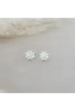Glee Jewelry Snow Crystal Stud Earrings by Glee