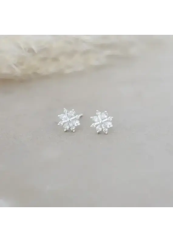 Glee Jewelry Snow Crystal Stud Earrings by Glee