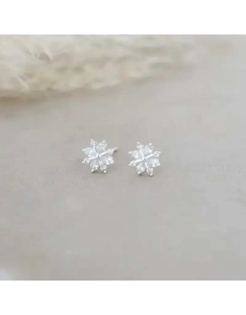 Glee Jewelry Snow Crystal Stud Earrings by Glee