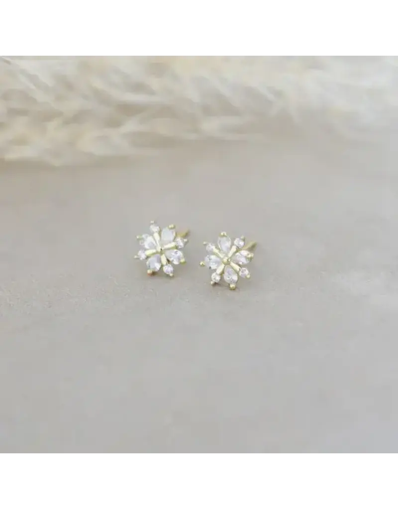 Glee Jewelry Snow Crystal Stud Earrings by Glee