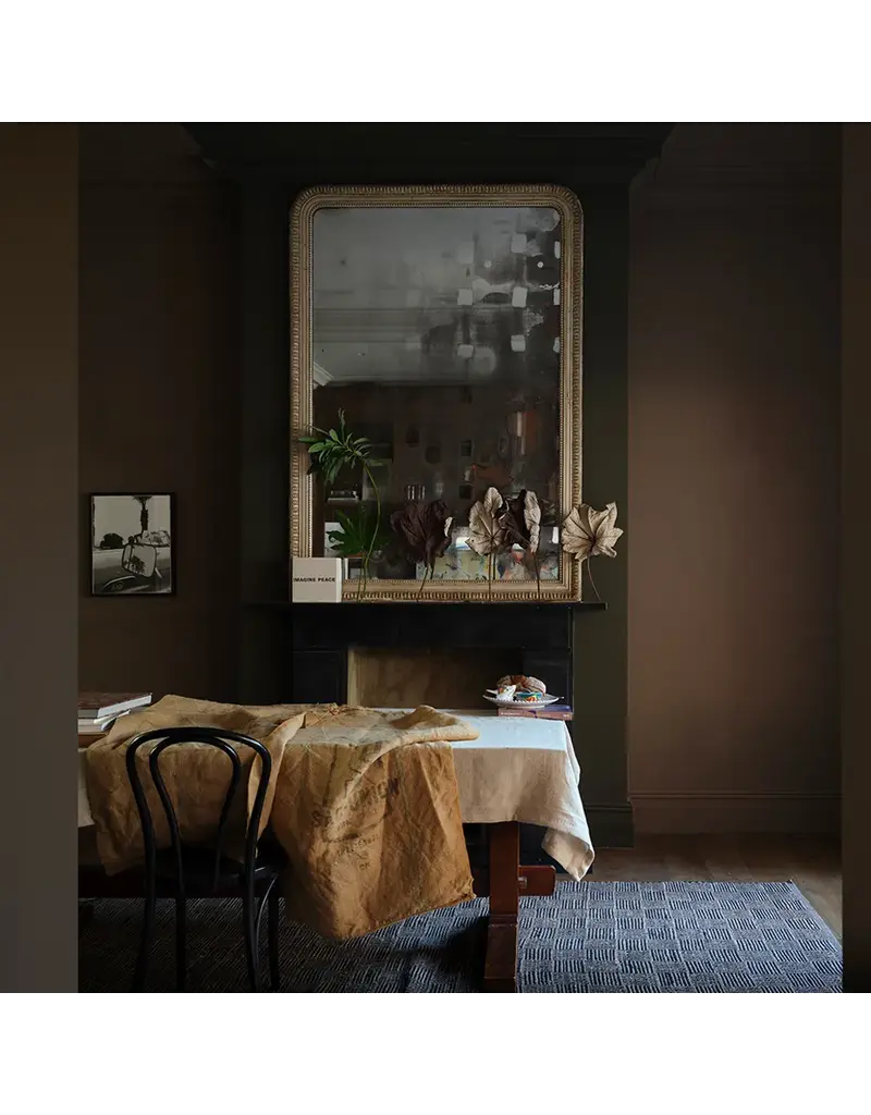 Farrow & Ball Paint Broccoli Brown No. 198 - Farrow & Ball Paint