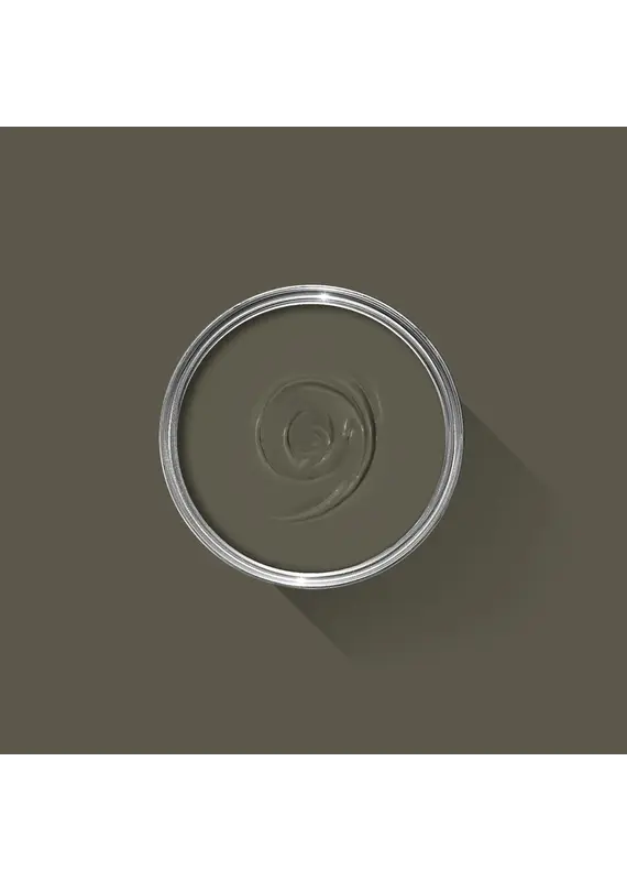 Farrow & Ball Paint Reduced Green No. 313 – Farrow & Ball Paint