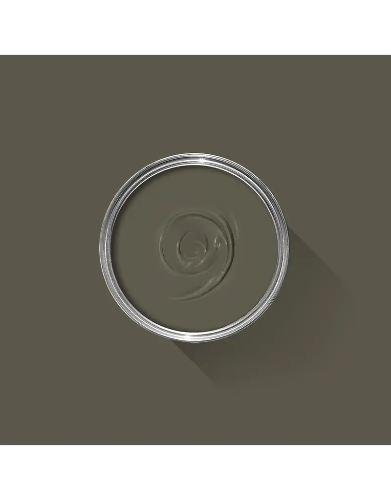 Farrow & Ball Paint Reduced Green No. 313 – Farrow & Ball Paint