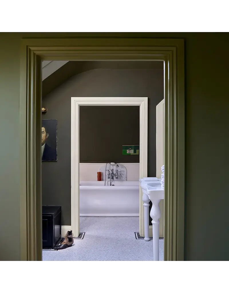 Farrow & Ball Paint Reduced Green No. 313 – Farrow & Ball Paint