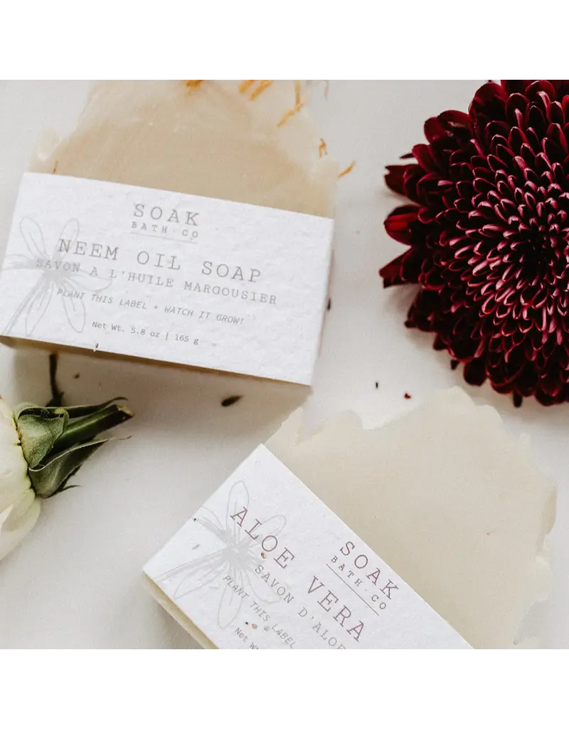 Soak Bath Co. Aloe Vera Luxury Soap Bar (Unscented) (Soak Bath Co.)