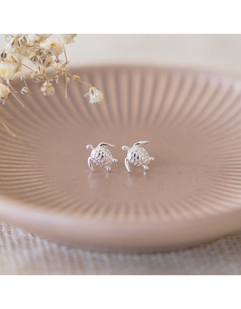 Glee Jewelry Turtlette Stud Earring Set by Glee Jewelry Canada