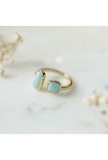 Glee Jewelry Stone Sister Adjustable Ring Amazonite by Glee Jewelry Canada