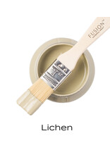 Lichen - Fusion Mineral Paint