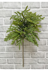 Fresh Touch Baby Norfolk Pine Spray | 23"