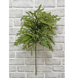 Fresh Touch Baby Norfolk Pine Spray | 23"