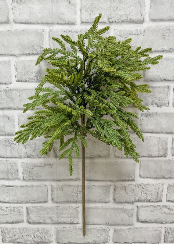 Fresh Touch Baby Norfolk Pine Spray | 23"