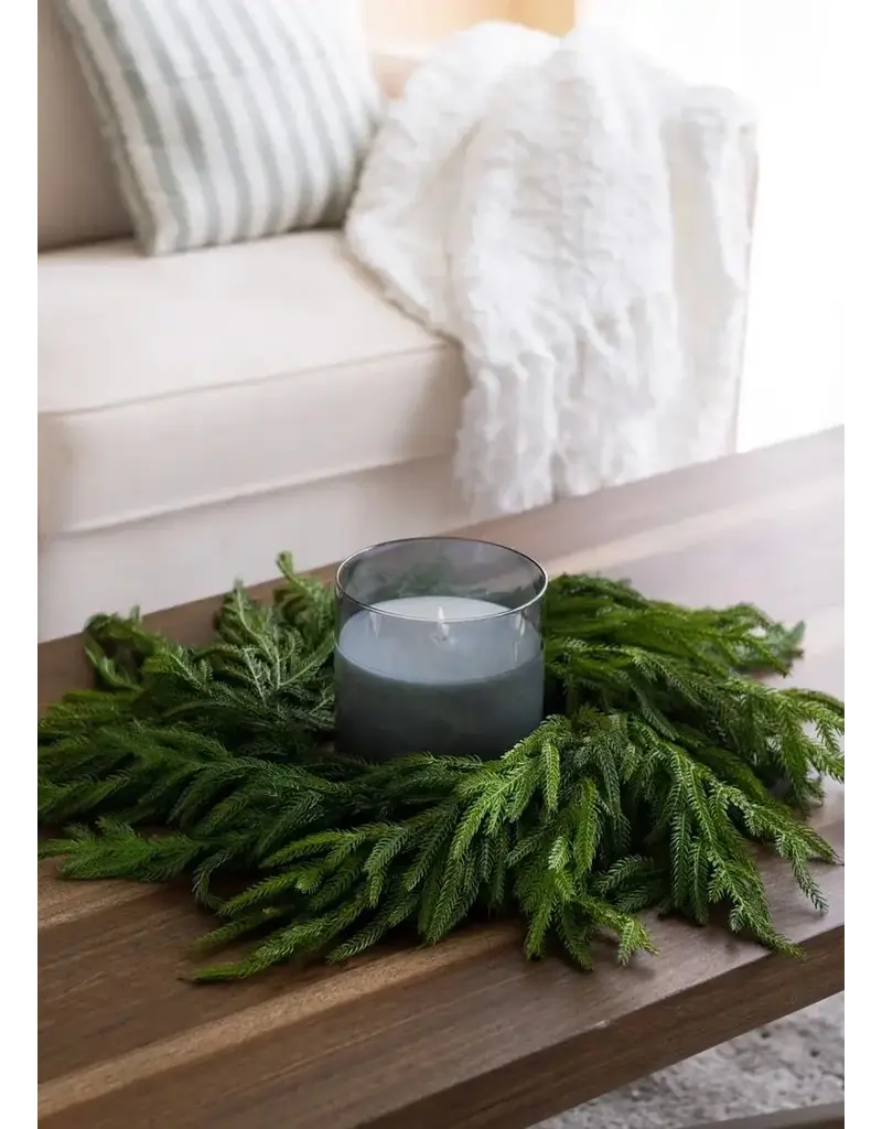 Fresh Touch Norfolk Pine Wreath | 20" Diameter with 6.5" Center