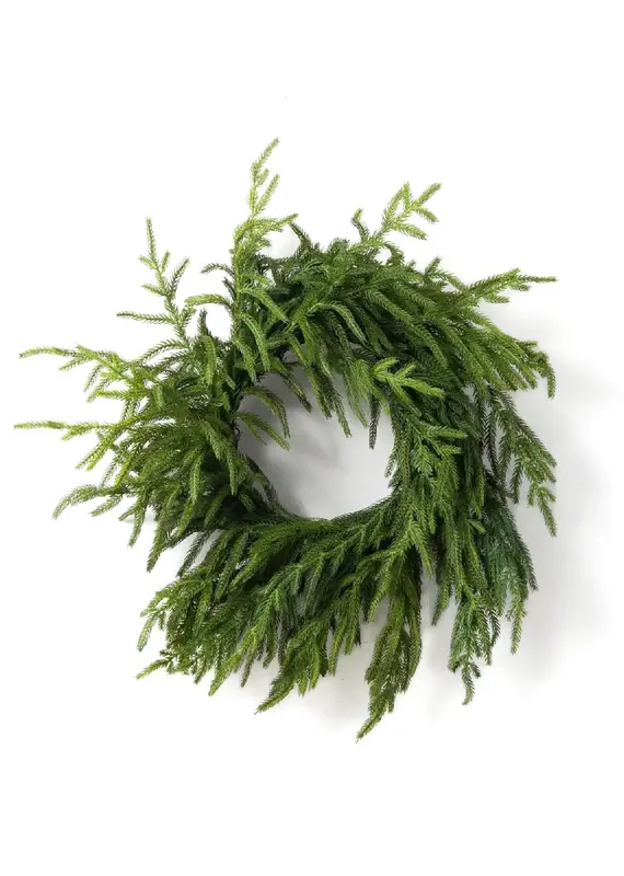 Fresh Touch Norfolk Pine Wreath | 20" Diameter with 6.5" Center