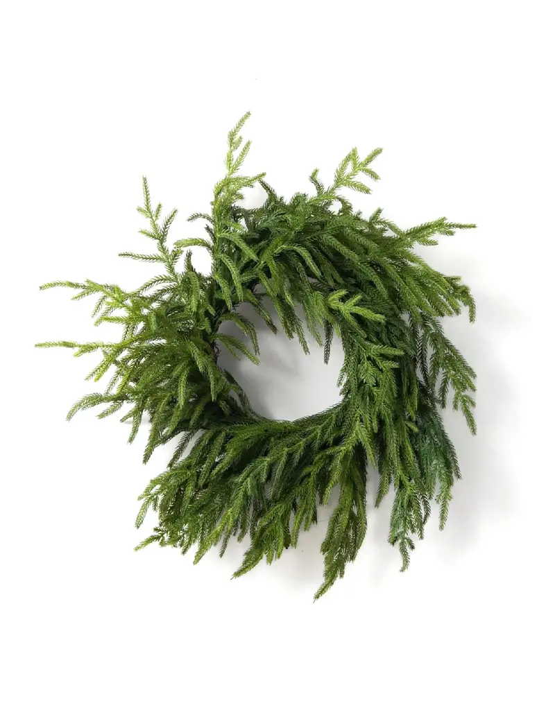 Fresh Touch Norfolk Pine Wreath | 20" Diameter with 6.5" Center