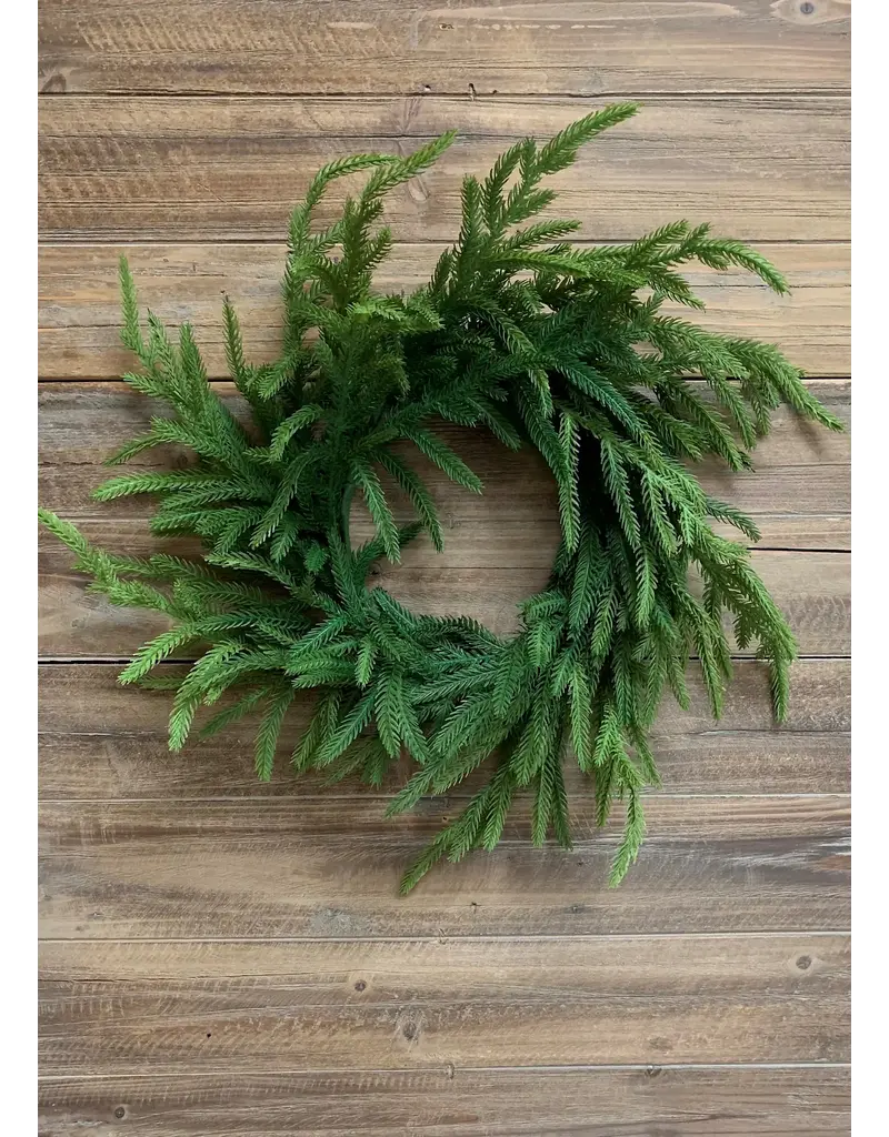 Fresh Touch Norfolk Pine Wreath | 20" Diameter with 6.5" Center