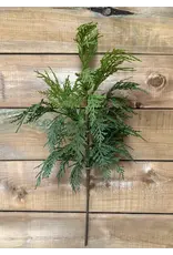 Fresh Touch Northern White Cedar Spray | 23.5"