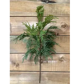 Fresh Touch Northern White Cedar Spray | 23.5"