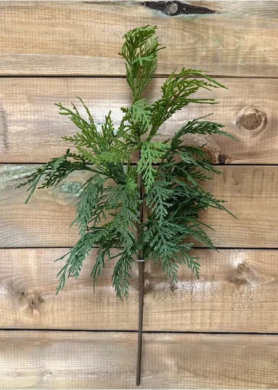 Fresh Touch Northern White Cedar Spray | 23.5"