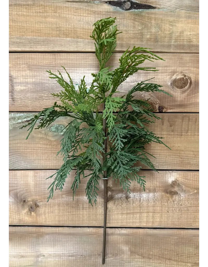 Fresh Touch Northern White Cedar Spray | 23.5"