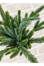 Fresh Touch Blue Spruce Bundle | 15"