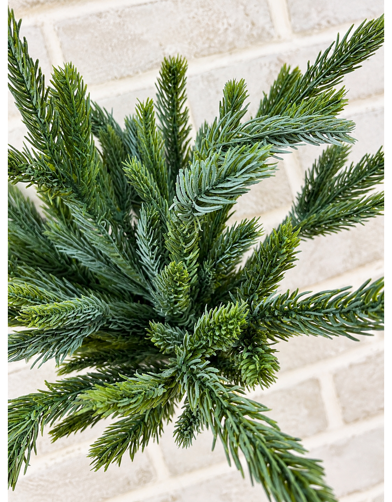Fresh Touch Blue Spruce Bundle | 15"