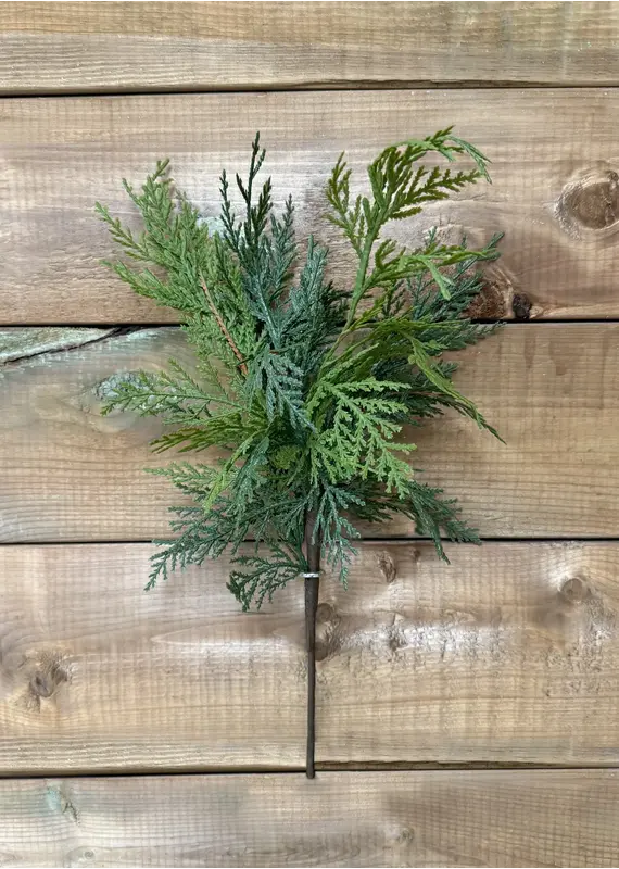 Fresh Touch Northern White Cedar Spray | 17"