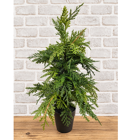 Fresh Touch Northern White Cedar Tree | 19.5"