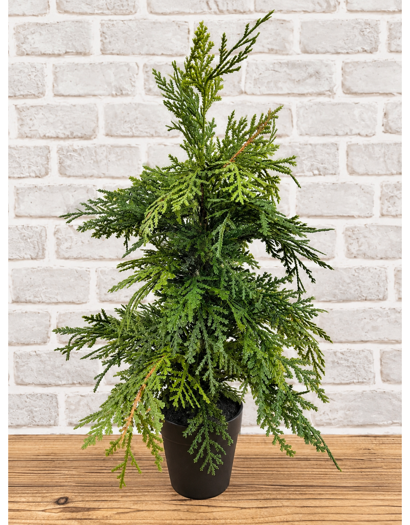 Fresh Touch Northern White Cedar Tree | 19.5"