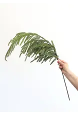 Fresh Touch Norfolk Pine Spray | 36"