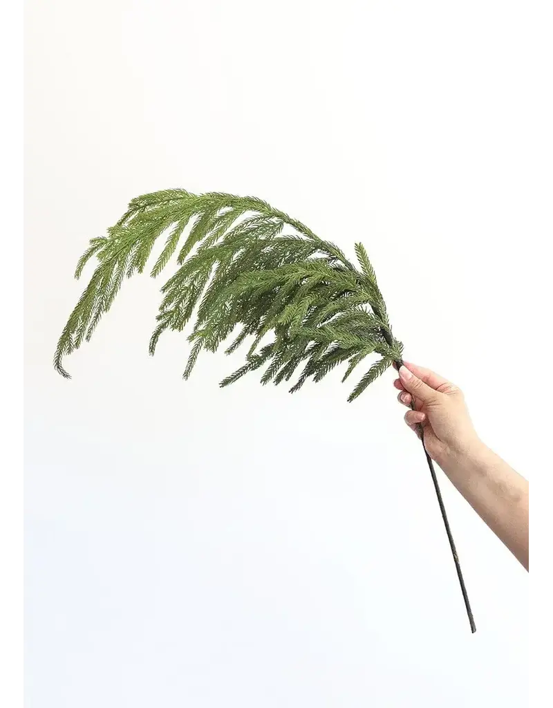 Fresh Touch Norfolk Pine Spray | 36"