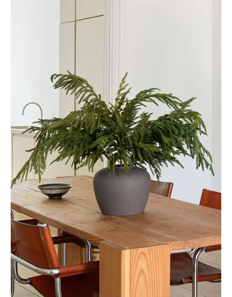 Fresh Touch Norfolk Pine Spray | 36"