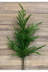 Fresh Touch Norfolk Pine Branch | 29"