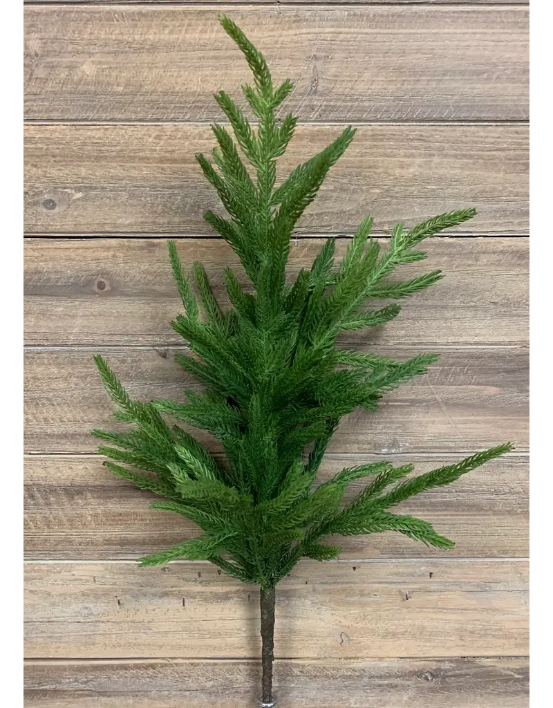 Fresh Touch Norfolk Pine Branch | 29"