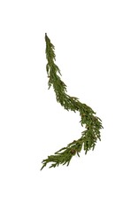 adv Norfolk Pine Real Touch Garland with Pinecones 72'