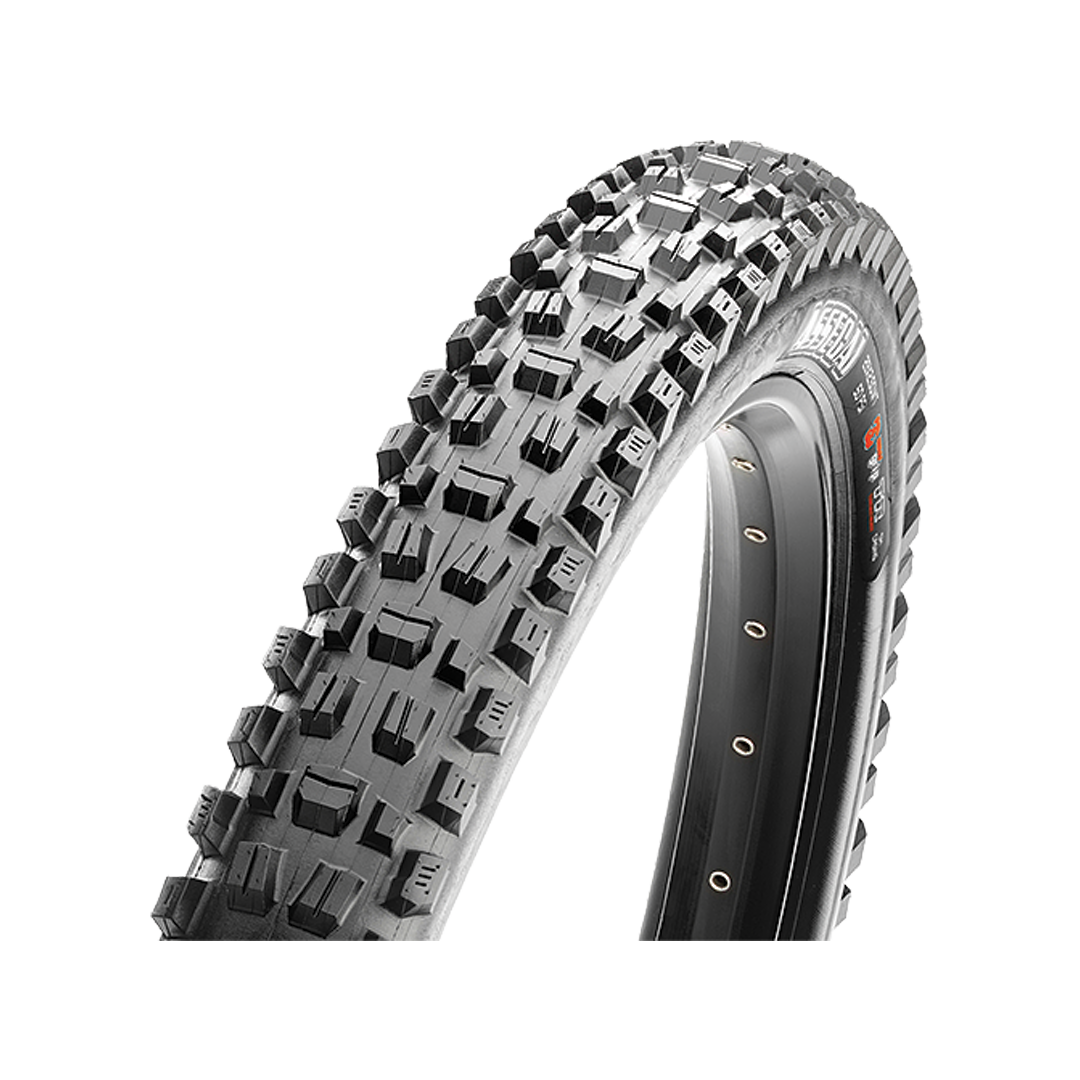 maxxis downhill casing
