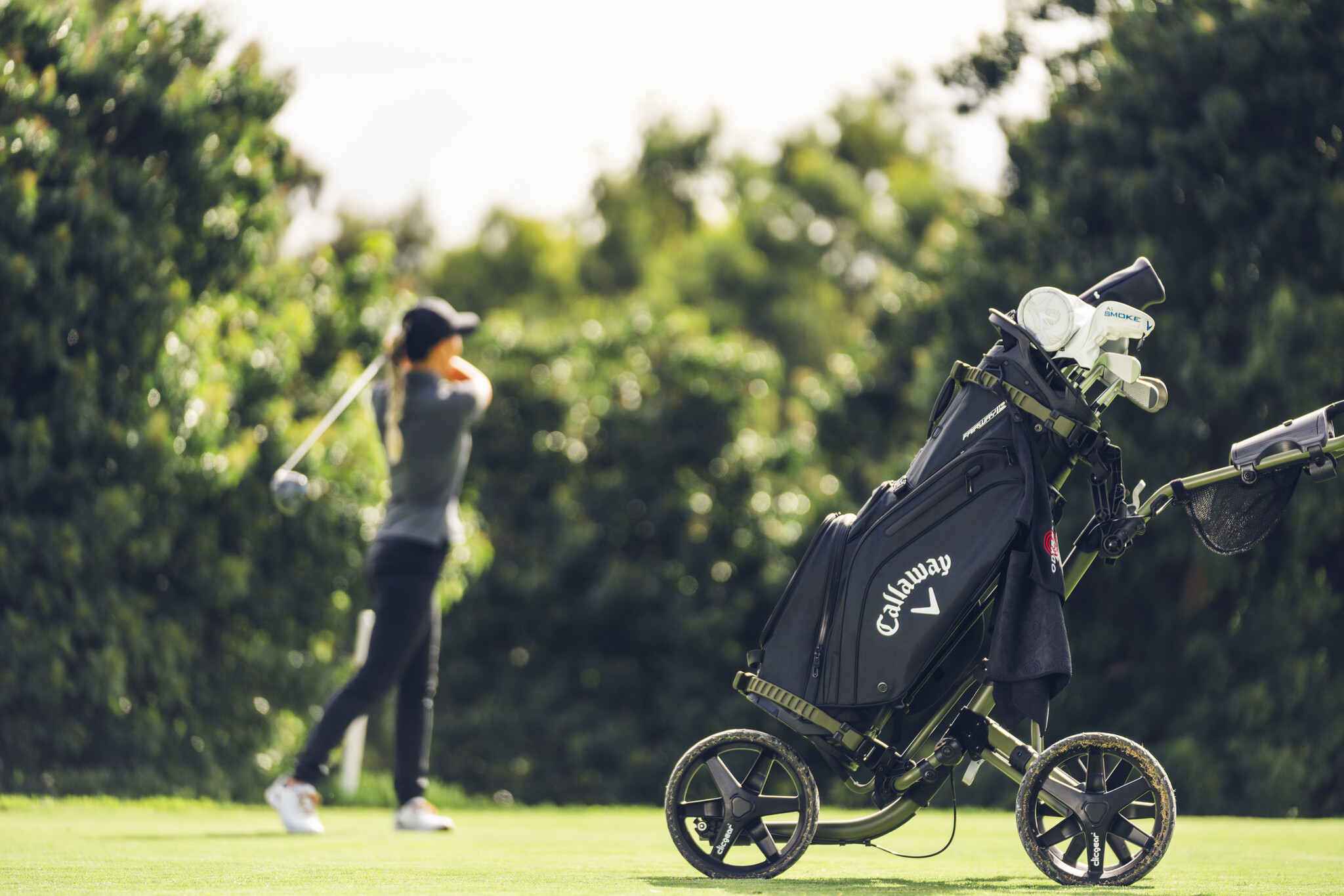 Golf bag weight options, highlighting various designs for lightweight portability and balance, ensuring comfort and ease while carrying or using on the golf course