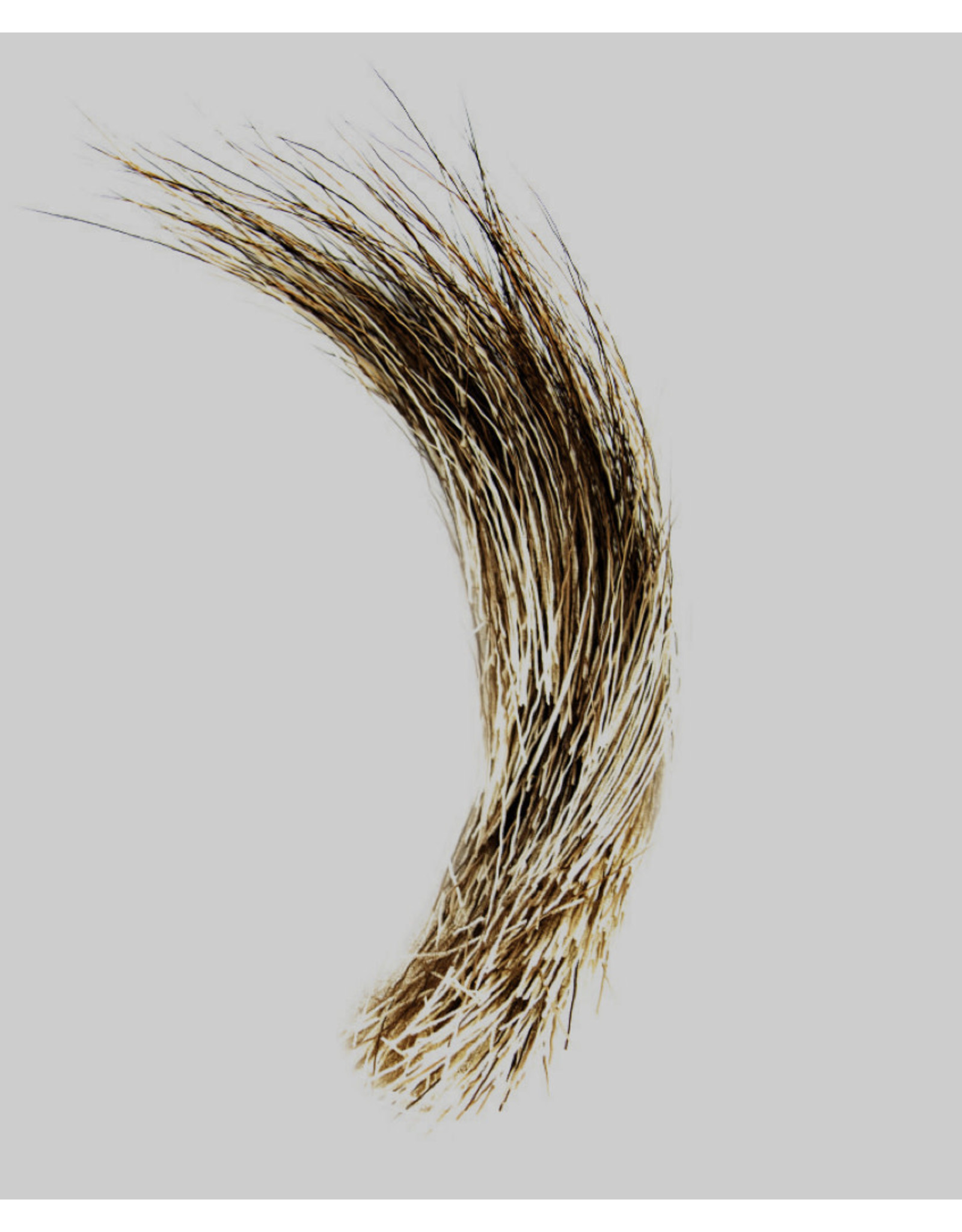 Hook & Hackle Canada Moose Mane