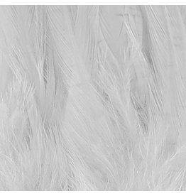 SHOR SHOR Hackle 6-8" - White