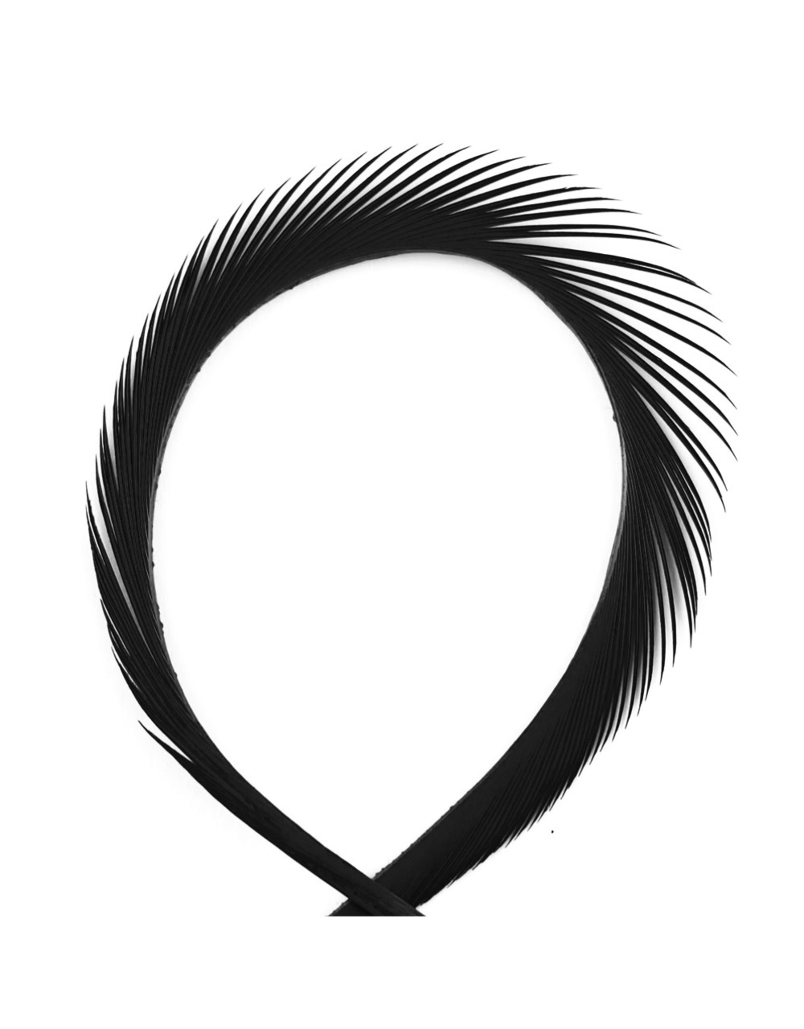 Hook & Hackle Canada Goose Biot Strips - Black