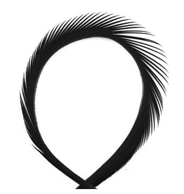 Hook & Hackle Canada Goose Biot Strips - Black