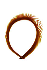 Hook & Hackle Canada Goose Biot Strips - Brown