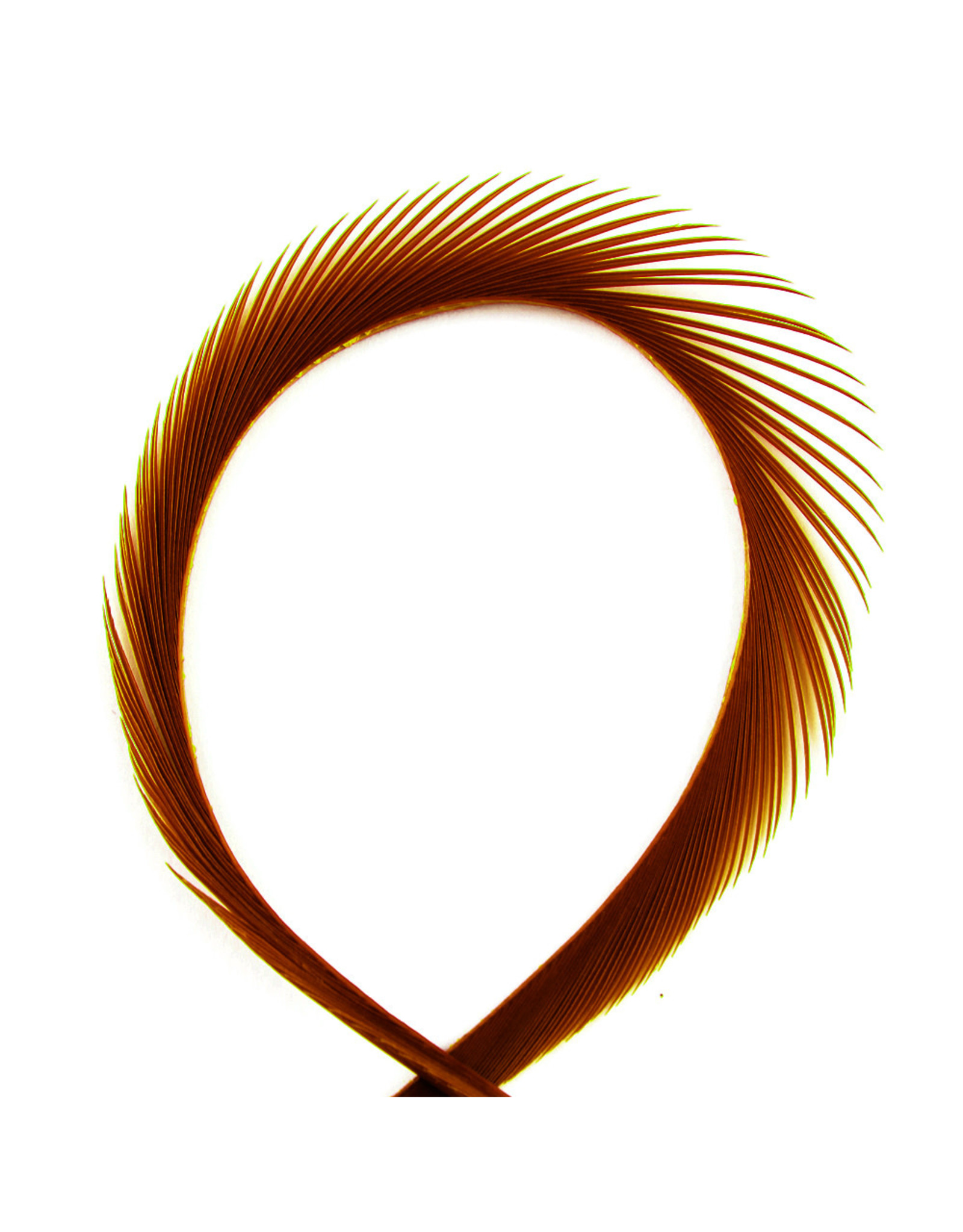 Hook & Hackle Canada Goose Biot Strips - Brown