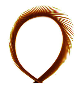 Hook & Hackle Canada Goose Biot Strips - Brown