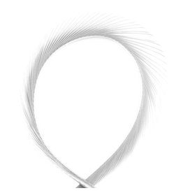 Hook & Hackle Canada Goose Biot Strips - White
