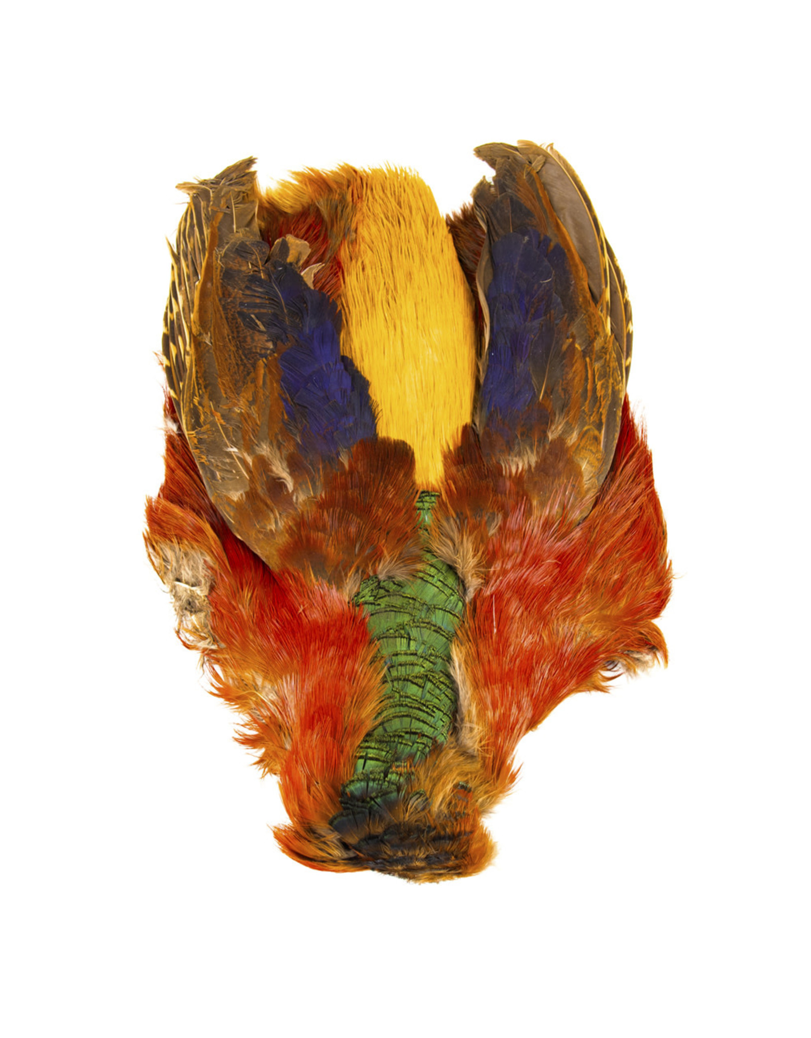 SHOR SHOR Golden Pheasant Skin