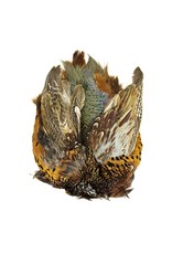 SHOR SHOR Ring-Necked Pheasant Skin Male, Grade A