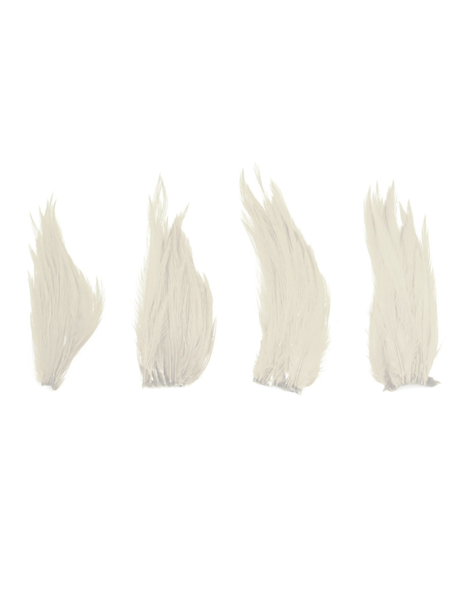 SHOR SHOR Genetic Rooster Mini Pack Size
