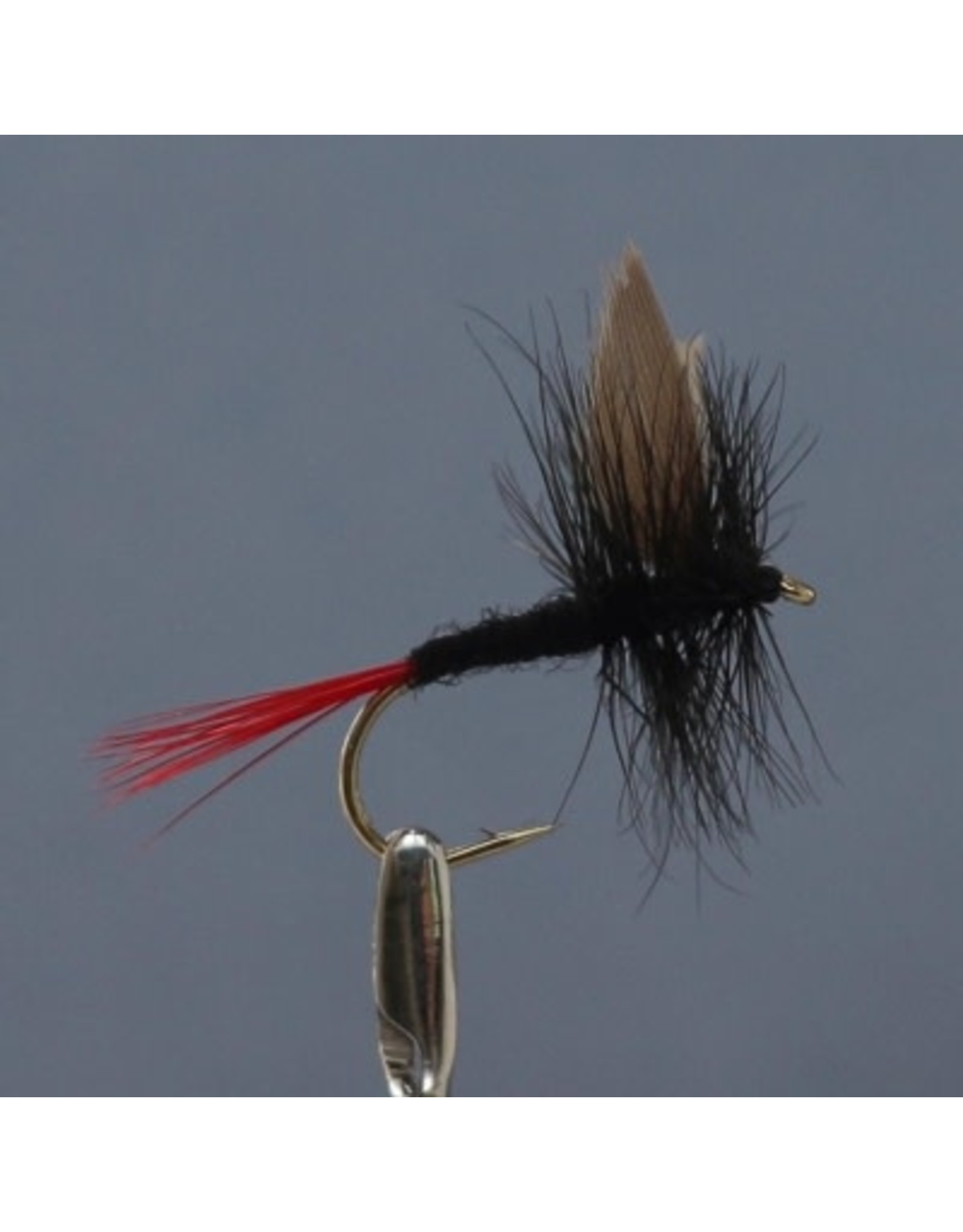 BLACK GNAT Red Tail #12