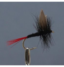 BLACK GNAT Red Tail #12